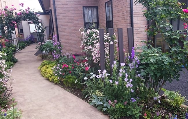 通路脇に花が沢山咲いている様子