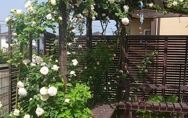 ベンチの周りに花が沢山咲いている様子